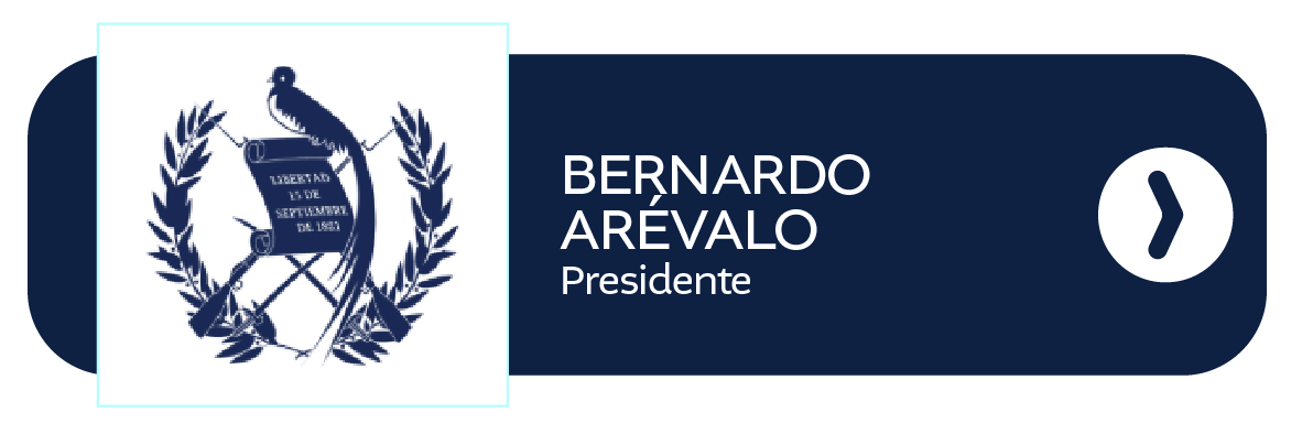 Enlace externo B