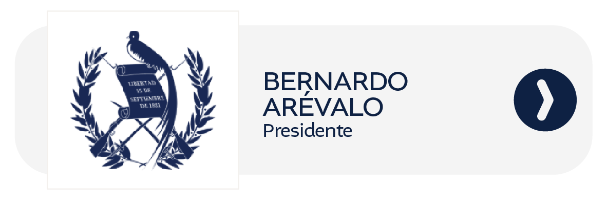 Enlace externo B