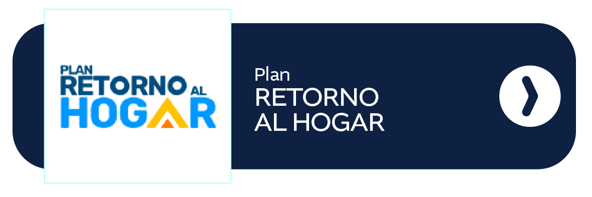 Enlace externo P