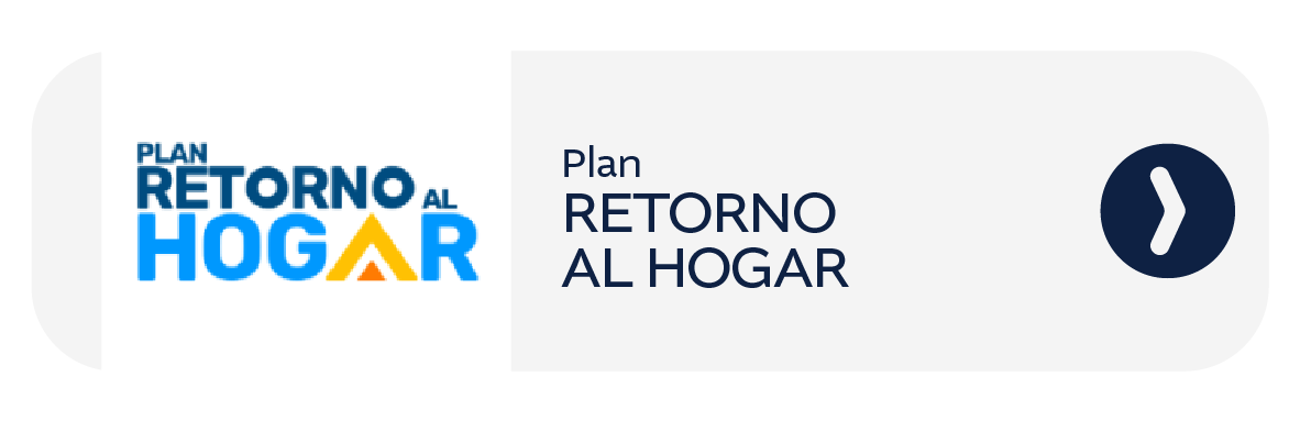 Enlace externo P